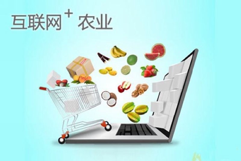 如何在农产品电商领域合法避税?——对比分析不同政策下的优劣